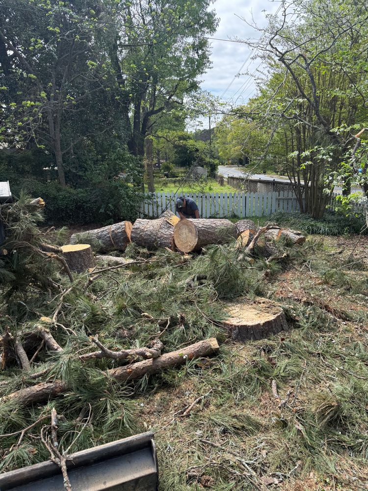 All Photos for T N L - Tree and Land Service in Reynolds, GA