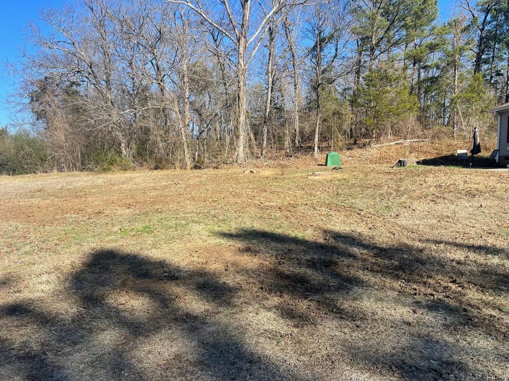 Tree Services for K-2 Tree Service in Shelby, NC