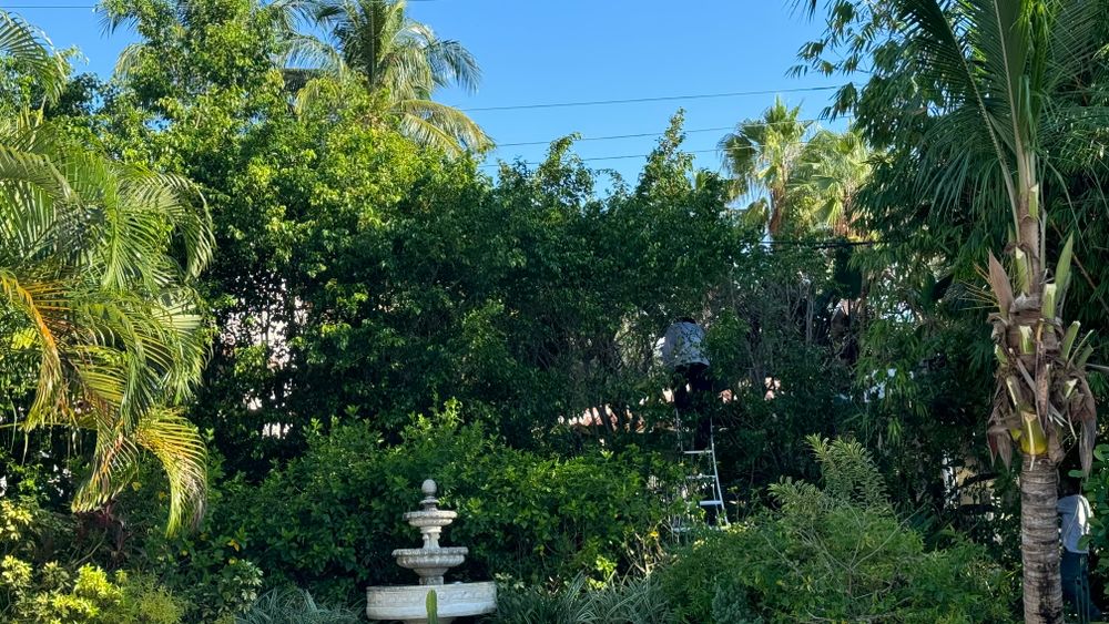 New Photo Uploads for South Florida Terra Systems in Boca Raton, FL