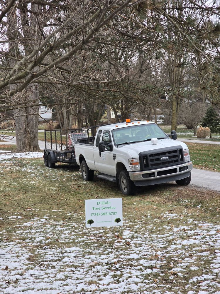 All Photos for D Hale Tree Service in Ann Arbor, MI