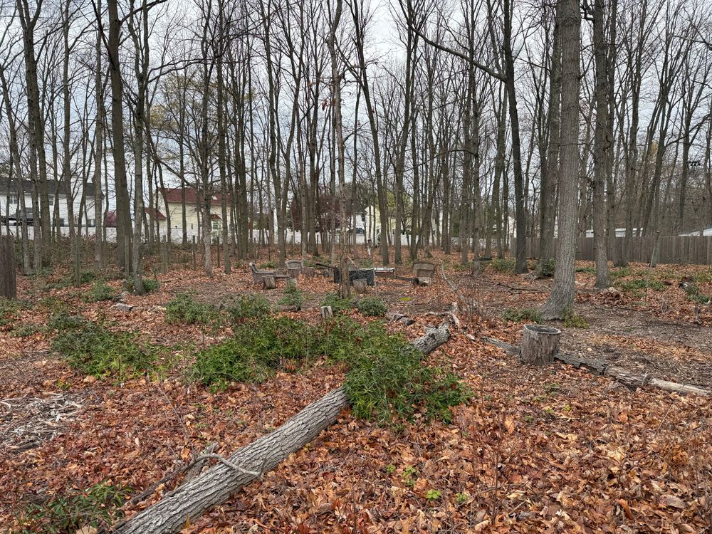 All Photos for Home Perfection LLC in Brick Township, NJ