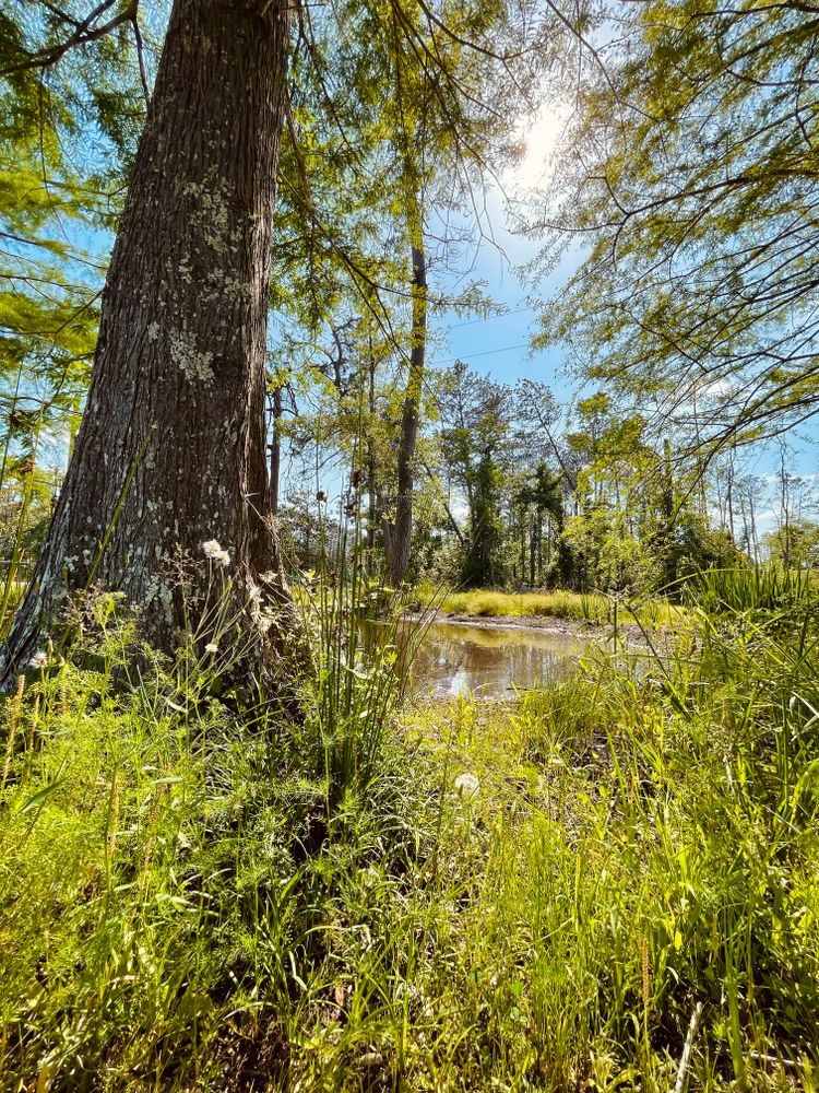 All Photos for Camp One90 in Ragley, LA