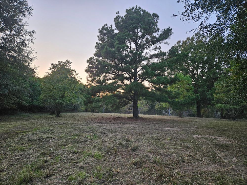 All Photos for Daniel's Dumpsters & Land Improvements in Monroe, LA