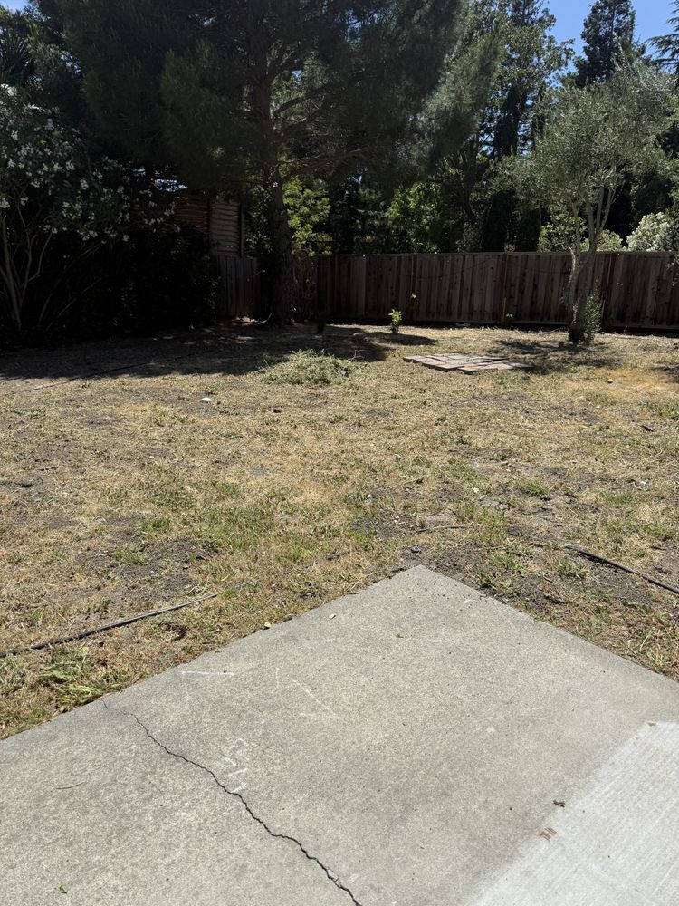 All Photos for CBA Landscaping in Hayward, CA