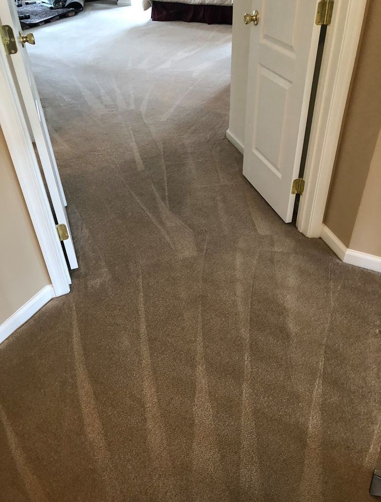 Carpet Cleaning for Banderas Cleaning Service in Elsmere, DE