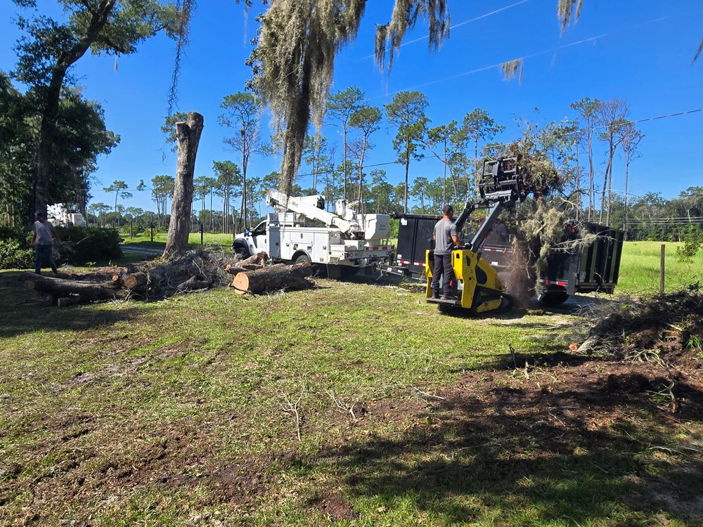 All Photos for Near Me Tree Service, Inc. in DeLand, FL