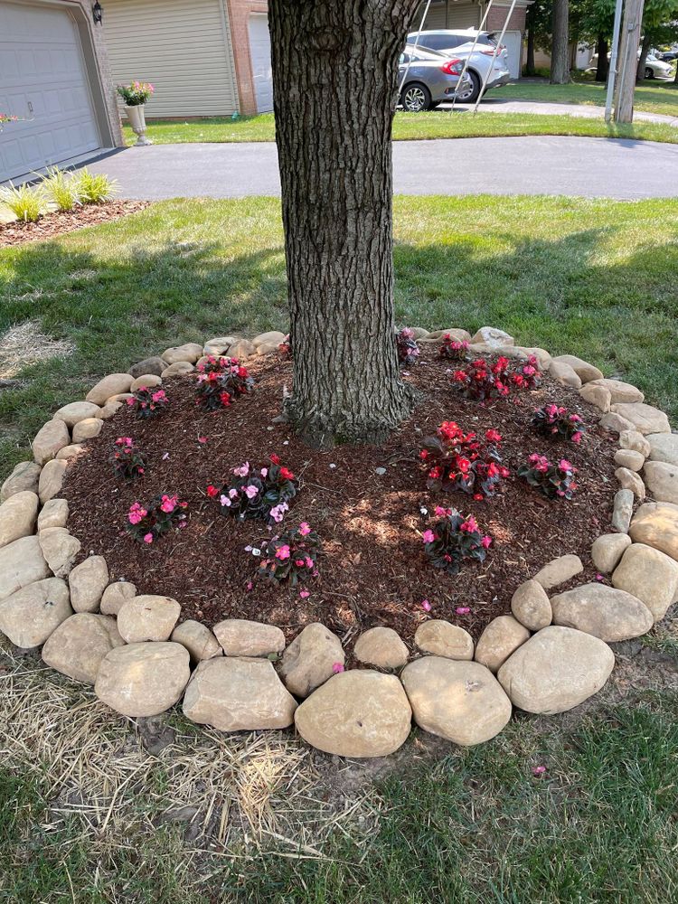 Landscaping for Transforming Landscaping & Tree Service in Bowling Green, KY