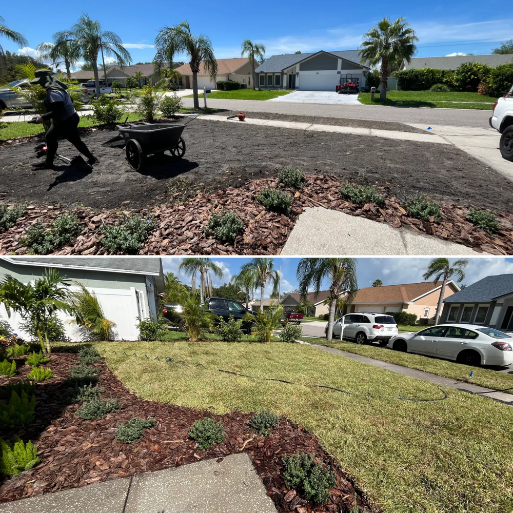 All Photos for Verimay's Garden and Landscaping in Hillsborough County, FL