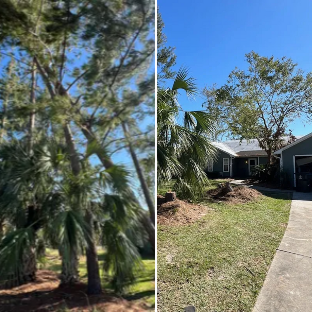 All Photos for Thompson Forestry Mulching & Stump Grinding in Douglas, GA