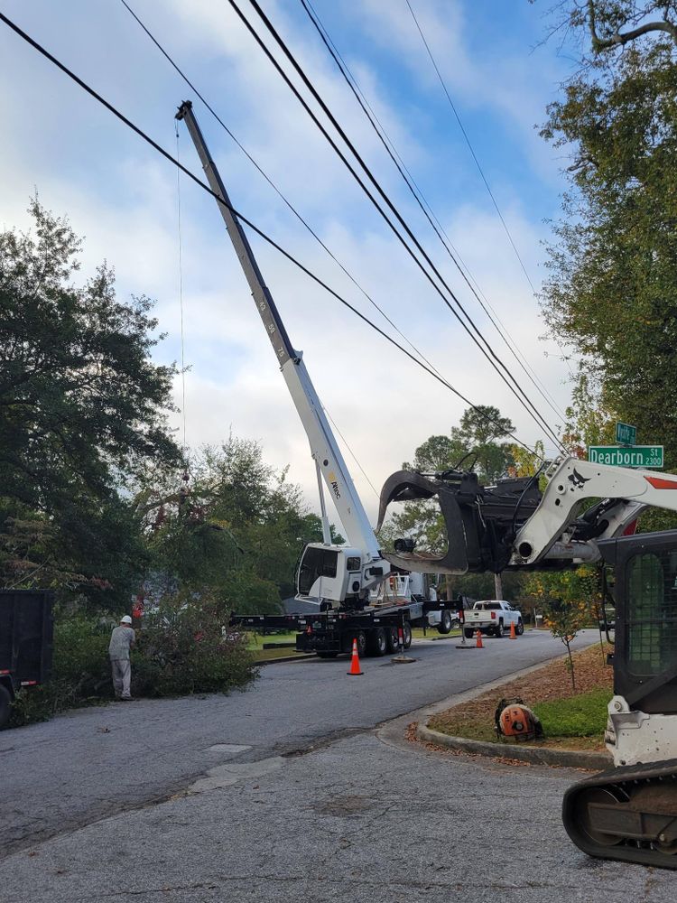 All Photos for Trees Unlimited of the CSRA in Augusta, GA