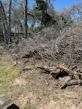 All Photos for Oviedo Land & Garden in Bastrop, TX