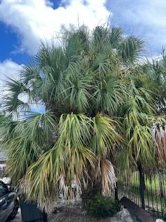 All Photos for Perfect MOs Landscaping in Hudson, FL