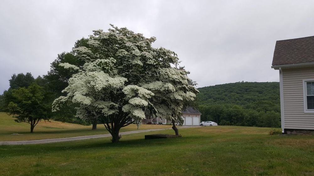 All Photos for Evolution Earthscapes, LLC in Ludlow, MA