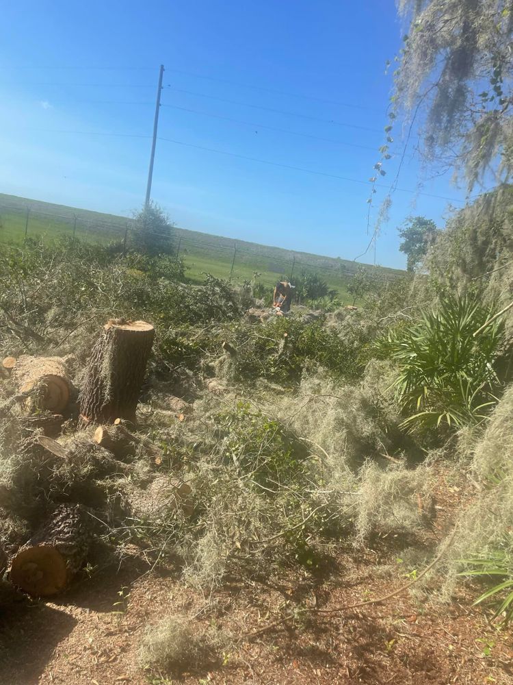 Our Storm Removal service swiftly clears fallen trees and debris, ensuring safety and restoring order. We also offer expert stump removal, enhancing your landscape's appearance while preventing future growth or potential hazards. for Narrow Path Tree Service in Deland, FL