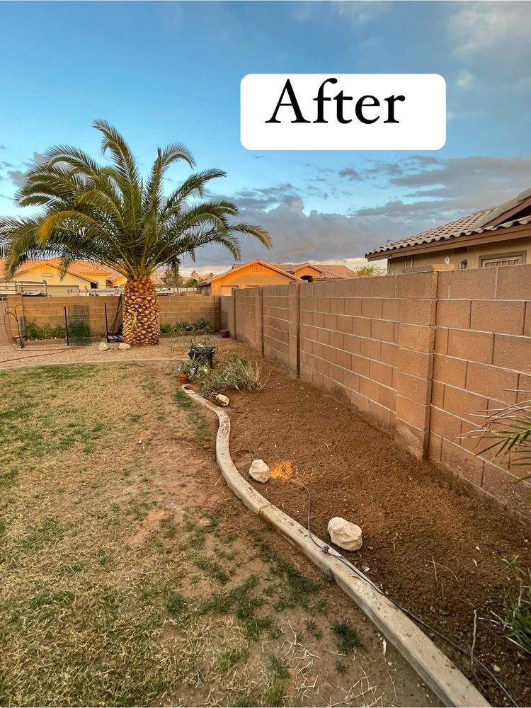 Our Fall and Spring Clean Up service is designed to help homeowners maintain a clean and tidy outdoor space by removing leaves, debris, and other waste from their properties. for Oliver L. Palm & Tree services in Yuma County, AZ