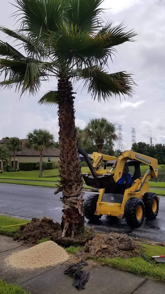 Landscaping for Tezna Landscaping, Trees & Pavers in Valrico, FL