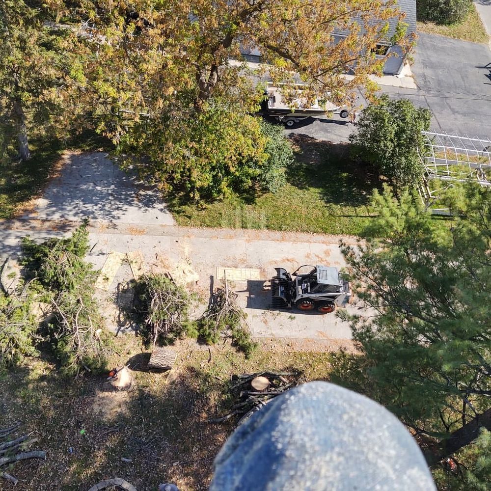 All Photos for Wenzels Tree Service LLC  in Bemidji, MN