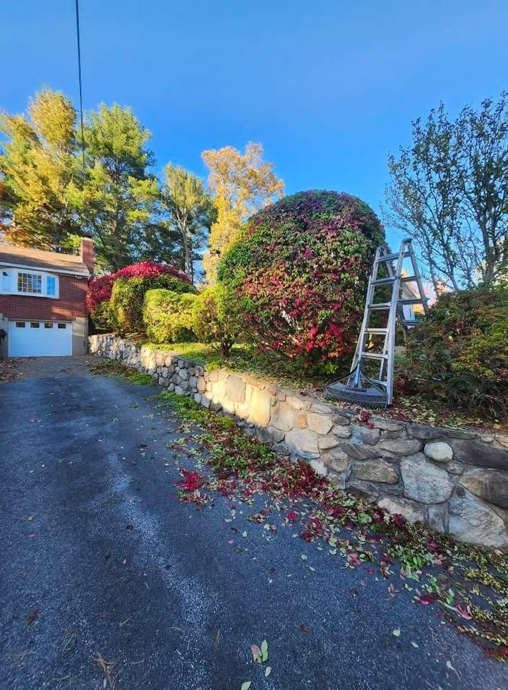 All Photos for Landscape Innovations LLC in Torrington, CT