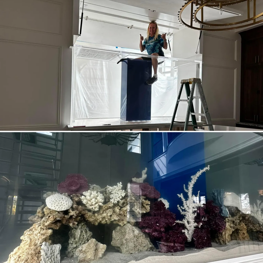 New Build for Aquariums by Sharyn in The State of Florida, FL