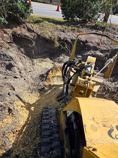 All Photos for Near Me Tree Service, Inc. in DeLand, FL