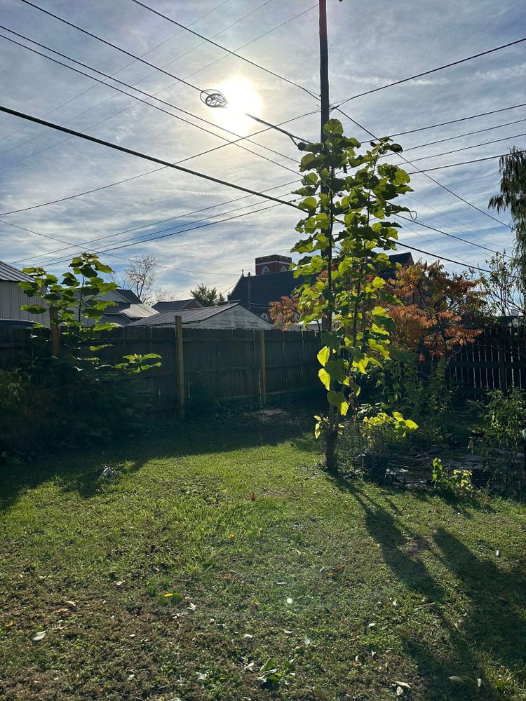 All Photos for OT Lawn and Landscaping LLC in Carey, OH