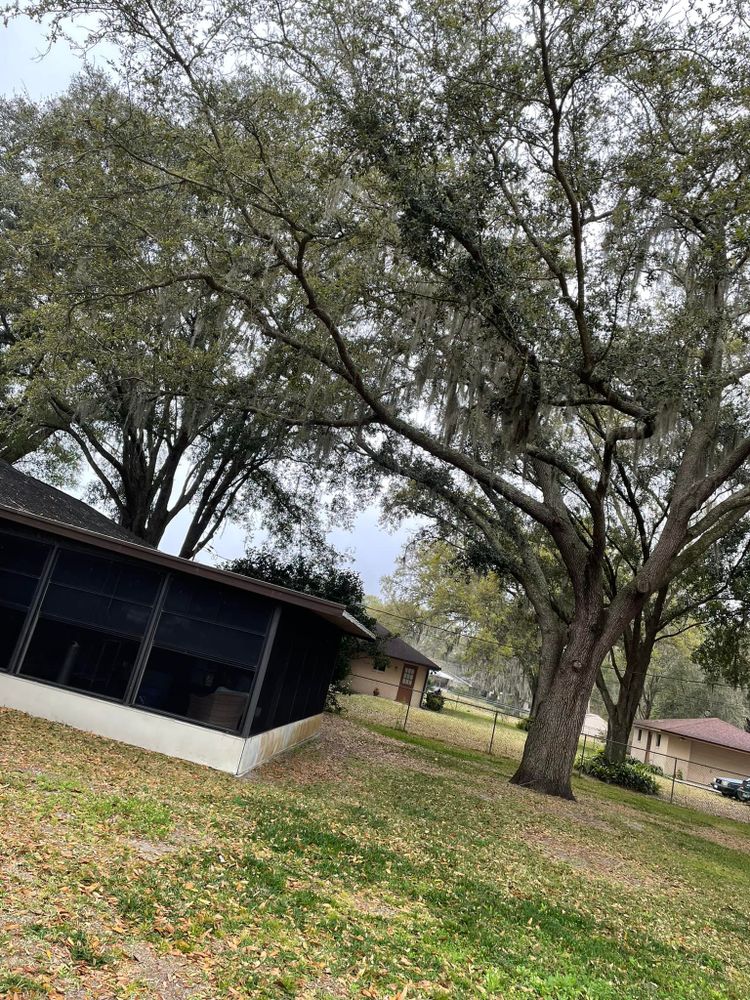 All Photos for Duck's Lawn & Tree Service in Winter Haven, FL