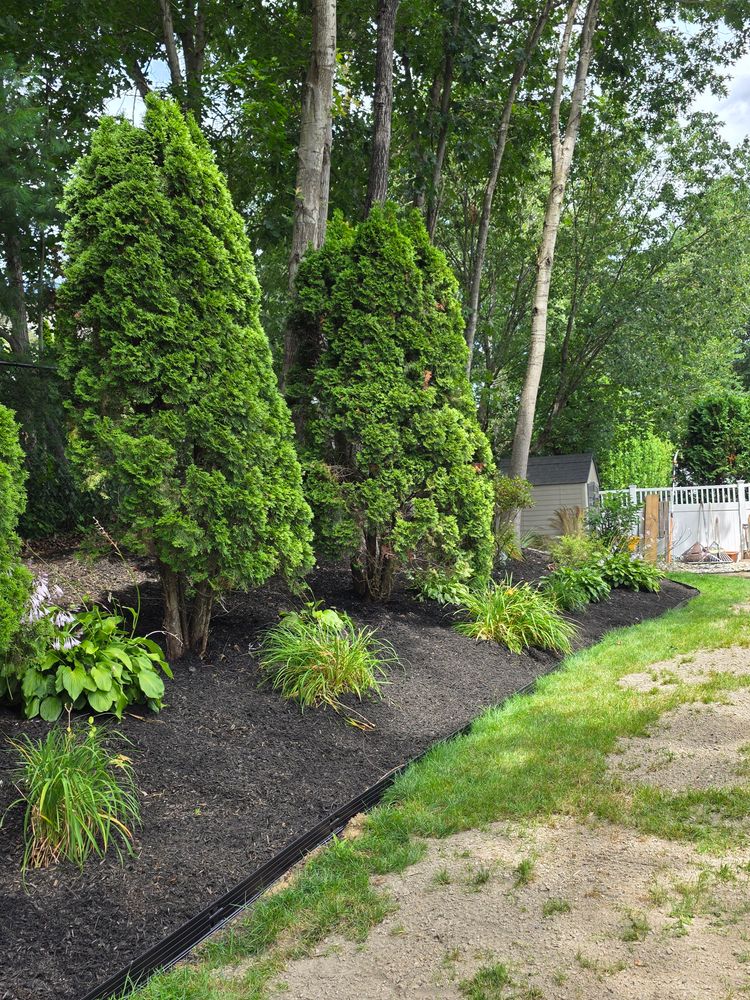 All Photos for Sweet Scapes in Ballston Spa, NY