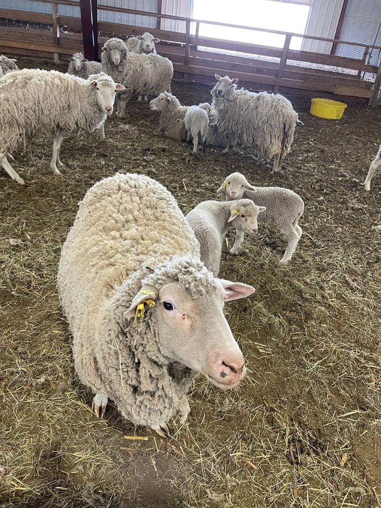 All Photos for Mr. Pipe Dreams LLC in Colorado Springs, CO