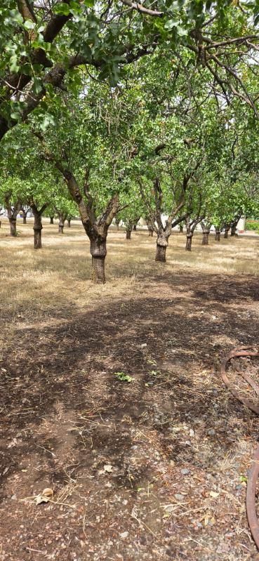 All Photos for Logan's Dump Run in Chico, CA