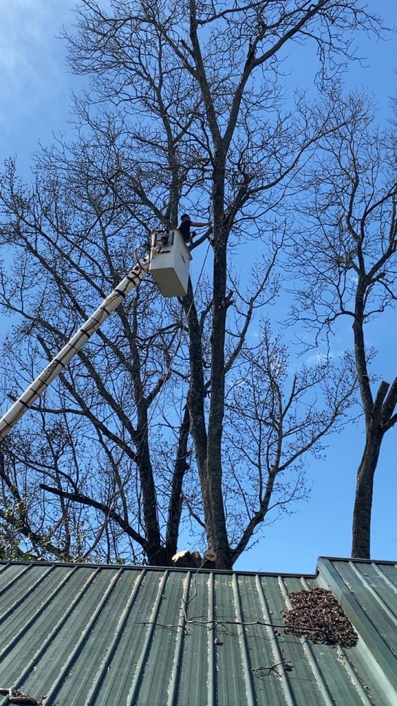 All Photos for Jeff’s Tree Service in Southside, AL