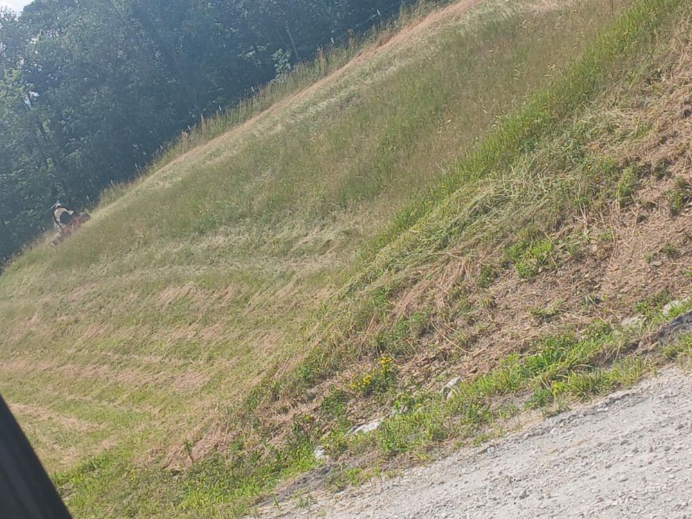 All Photos for Dead On Energy in Bloomingdale, OH