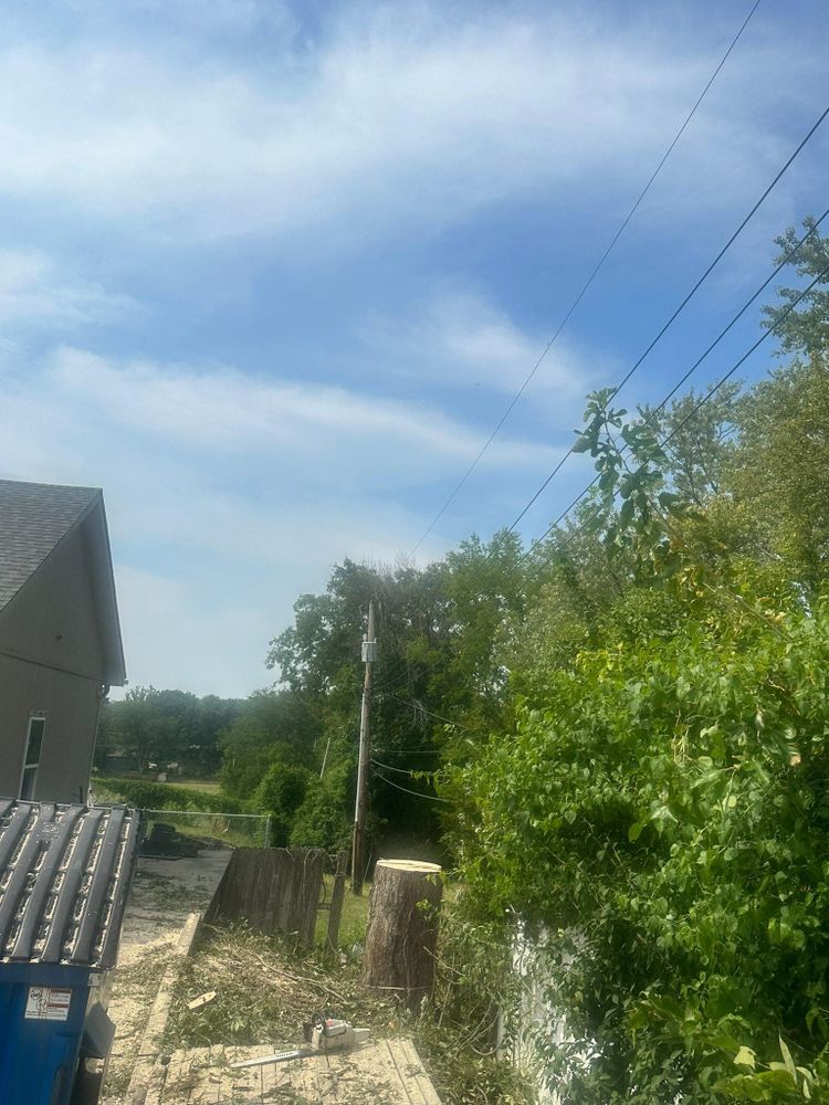 All Photos for Cross Family Tree Service in Kearney, MO