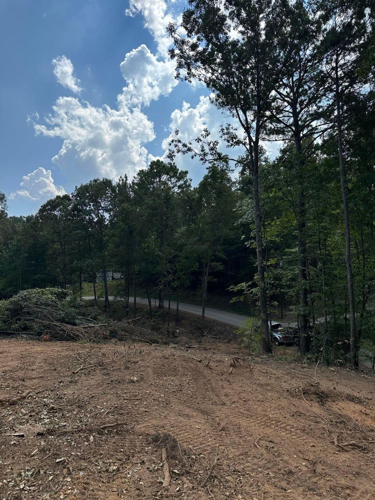 All Photos for A.P Land Management in Atlanta, Ga