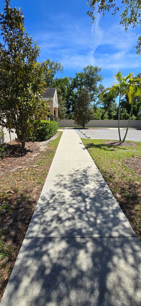 All Photos for Blue Stream Roof Cleaning & Pressure Washing in Tampa, FL