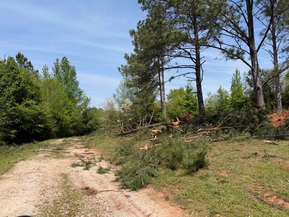 All Photos for Beauchamp Construction LLC in Athens, GA