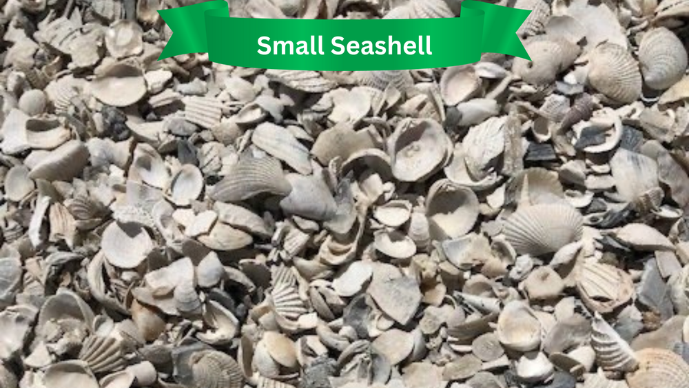 Rocks for R.B. & Company in Belleview, FL