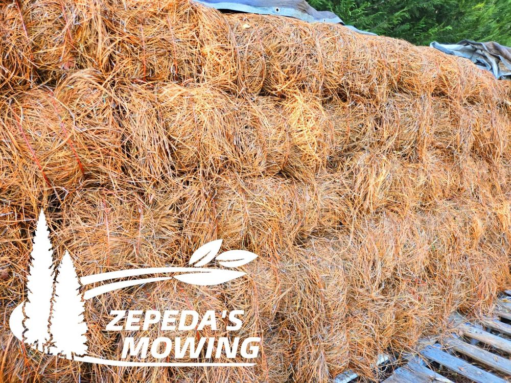 All Photos for Zepeda's Mowing in Fort Valley, GA