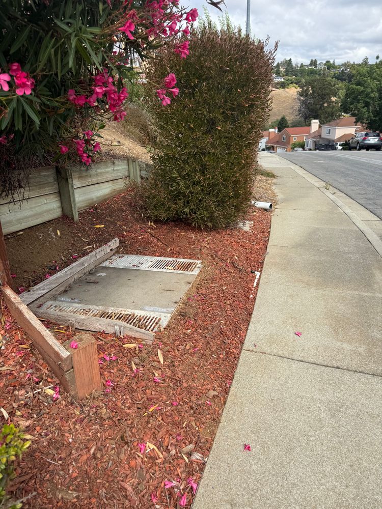 All Photos for CBA Landscaping in Hayward, CA