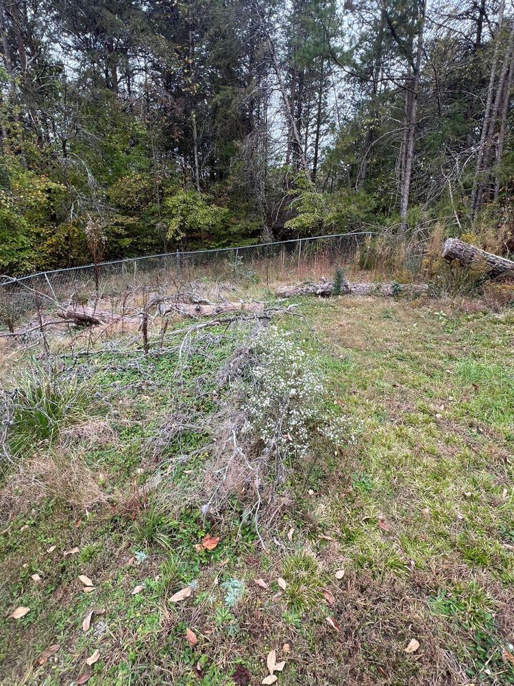 All Photos for Brooks Tree Service, LLC in Casar, NC