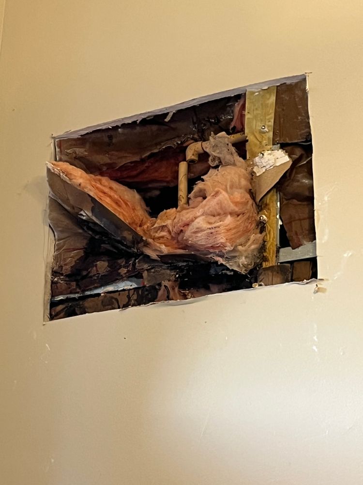 Water Damage Claims for Surplus Public Adjusters in Miami-Dade County, FL