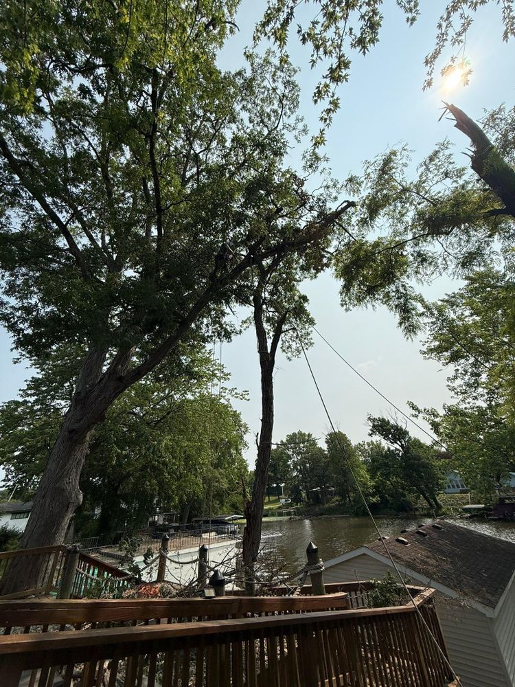 All Photos for Hunnicutt’s Tree Service L.L.C. in Monticello, IN