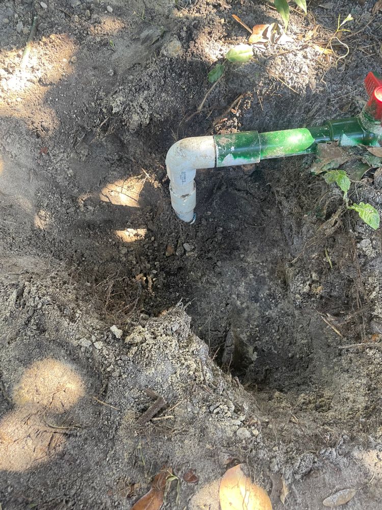 All Photos for Golden Isles Greenery in Brunswick, GA