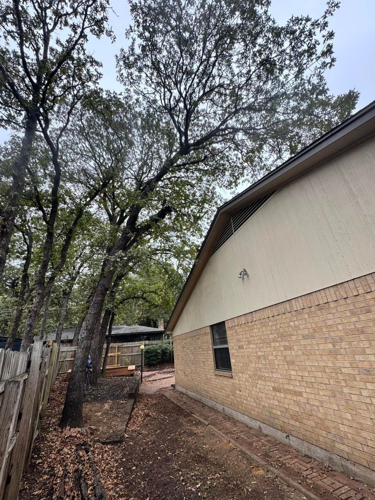 All Photos for Year Round Trees & Concrete Inc. in Fort Worth, TX