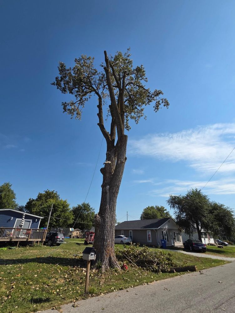 All Photos for Lawn Ranger Yard And Tree Service LLC in Ottumwa, IA