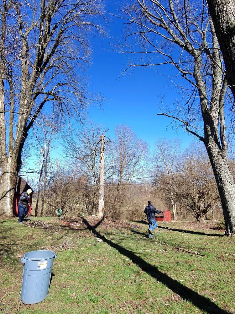 All Photos for F & F Tree Service in Beavercreek, OH