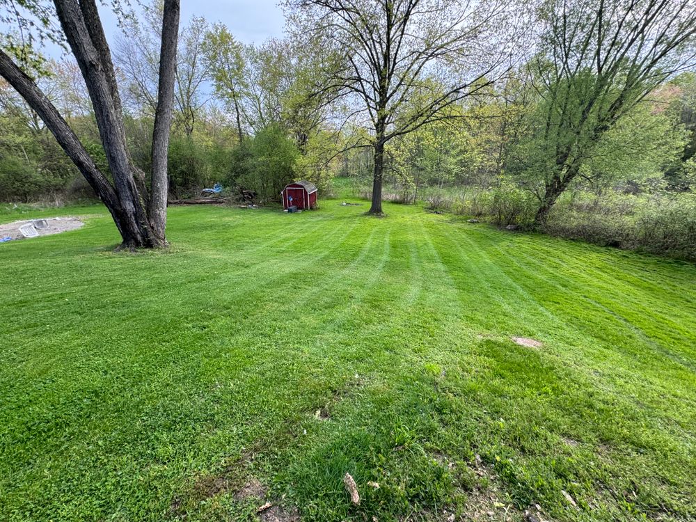 Lawn Care for Triscape LLC  in Port Jervis, NY