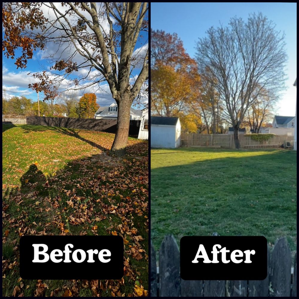 Our Fall Clean Up service ensures your yard is pristine and ready for winter by removing leaves, trimming shrubs, cleaning garden beds, and preparing outdoor spaces for the upcoming season. for ShineBros in Rehoboth, MA