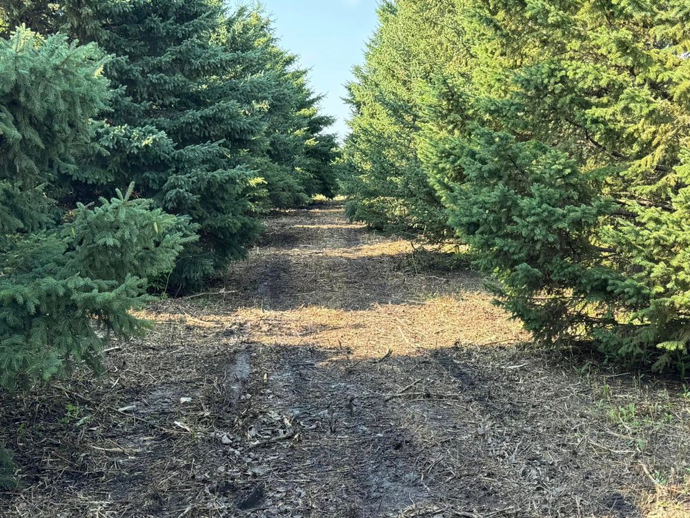 Land Clearing for RTK Co. Land Management in Raymond, MN