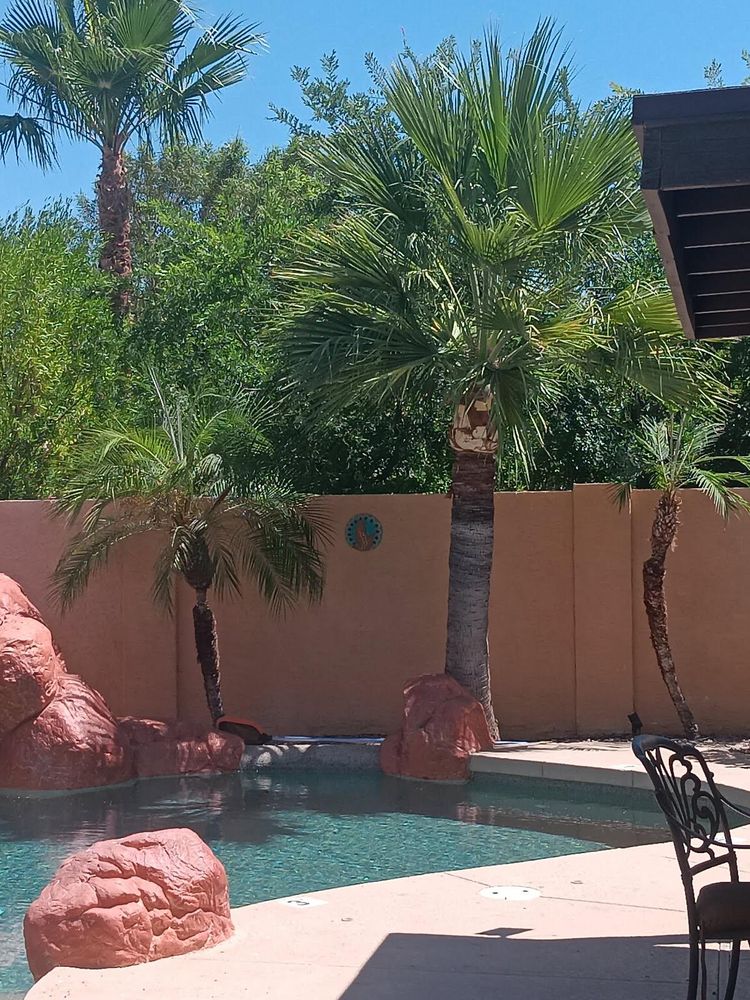 All Photos for Family Landscaping in Phoenix, AZ