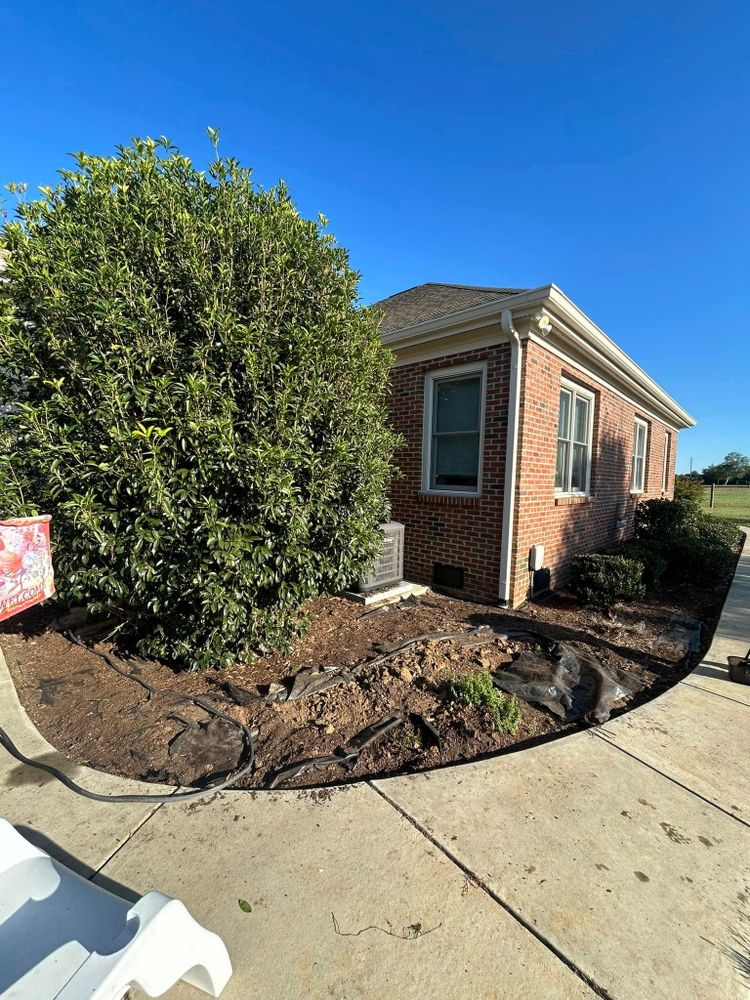 Lawn Care for Alvarez Landscape & Hardscape Service in Rock Hill, SC
